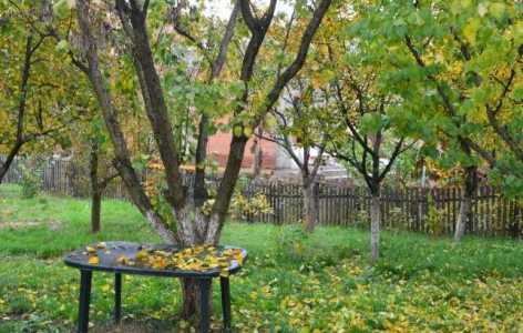 Casa de Închiriere 7 camere, CACJ208121-1