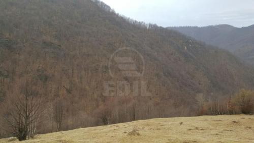 Teren de vânzare, TECJ209581FLO-7