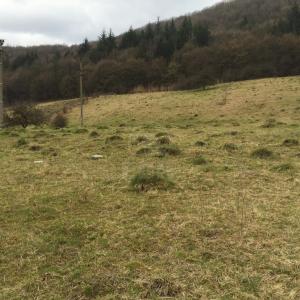 Teren de vânzare, TECJ209670FLO-3