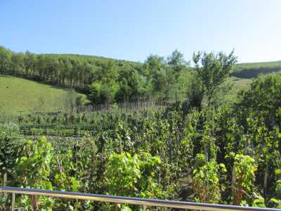 Pensiune de vânzare 8 camere, PECJ280034-25