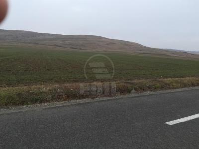 Teren de vânzare, TECJ231248FLO-6