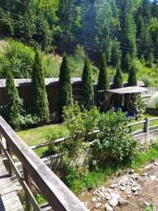 Cabana de vânzare 9 camere, CBCJ231598FLO-7