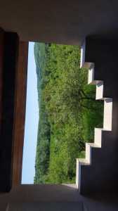 Casa de vânzare 5 camere, CACJ287397-4