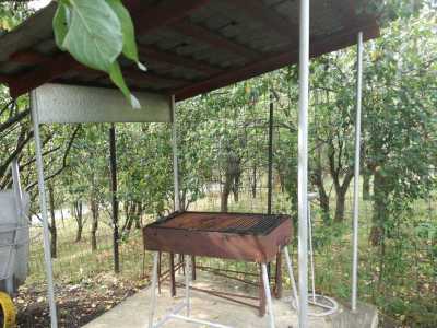 Casa de Închiriere 2 camere, CACJ291671-10