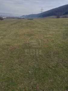 Teren de vânzare, TECJ233085FLO-2