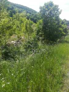 Teren de vânzare, TECJ233466FLO-5