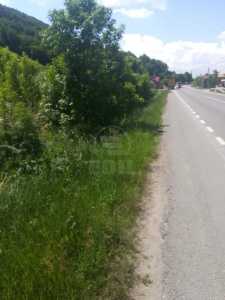 Teren de vânzare, TECJ233466FLO-2