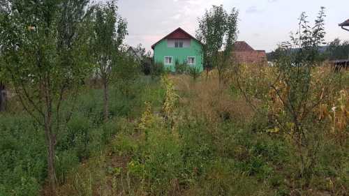 Casa de vânzare 4 camere, CACJ303667-11