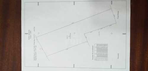 Teren de Închiriere, TECJ310203-5