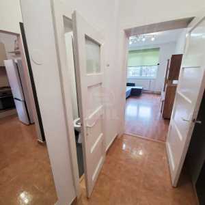 Apartament de Închiriere 2 camere, APCJ317904-13
