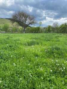 Casa de vânzare 5 camere, CACJ239344FLO-10