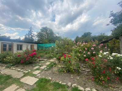 Casa de vânzare 6 camere, CACJ324412-6