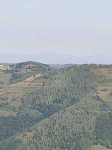 Teren de vânzare, TECJ240864FLO-13