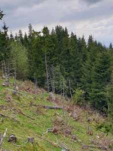 Teren de vânzare, TECJ240864FLO-16