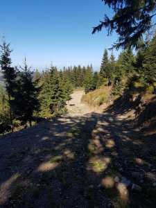 Teren de vânzare, TECJ240864FLO-8