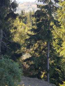 Teren de vânzare, TECJ240864FLO-5