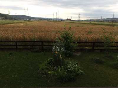 Apartament de vânzare 2 camere, APCJ240912FLO-9