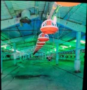 Hala de Închiriere o incapere, HACJ241972FLO-3