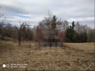 Teren de vânzare, TECJ242044FLO-14