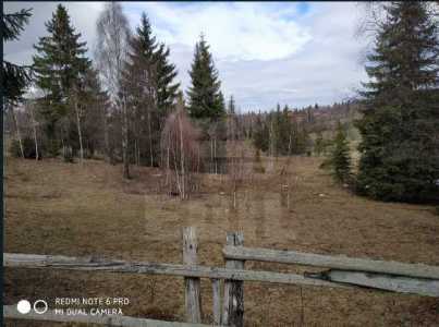 Teren de vânzare, TECJ242046FLO-7