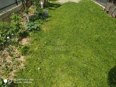 Casa de vânzare 7 camere, CACJ242261FLO-10