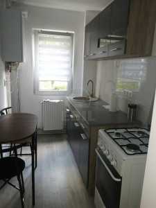 Apartament de Închiriere 2 camere, APCJ338106-5
