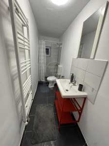 Apartament de Închiriere o camera, APCJ338585-5
