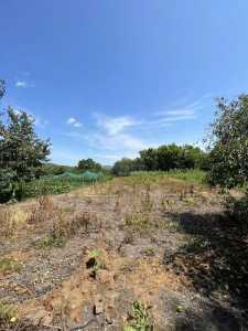 Casa de vânzare 2 camere, CACJ339681-5