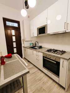 Apartament de Închiriere o camera, APCJ341076-14