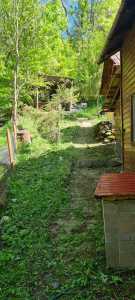 Cabana de vânzare 5 camere, CBCJ245103FLO-14