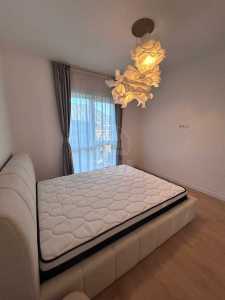 Casa de Închiriere 4 camere, CACJ245216FLO-15