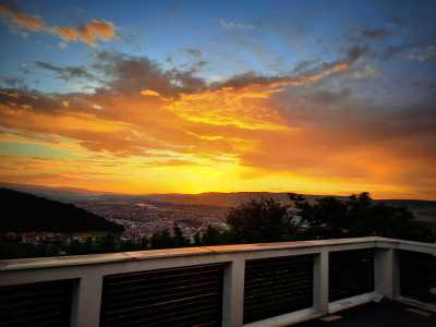 Casa de vânzare 6 camere, CACJ245222FLO-10