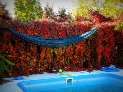 Casa de vânzare 6 camere, CACJ245222FLO-20