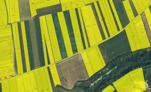 Teren de vânzare, TECJ245282FLO-1