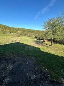 Casa de vânzare 4 camere, CACJ245627FLO-5