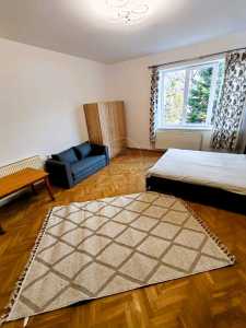 Apartament de Închiriere o camera, APCJ347073-6