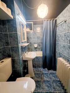 Apartament de Închiriere 2 camere, APCJ347076-4