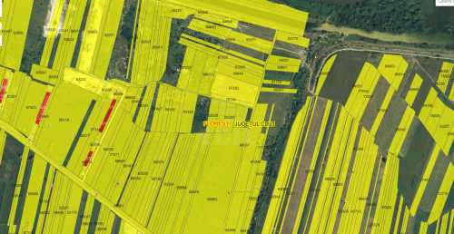 Teren de vânzare, TECJ246009FLO-1