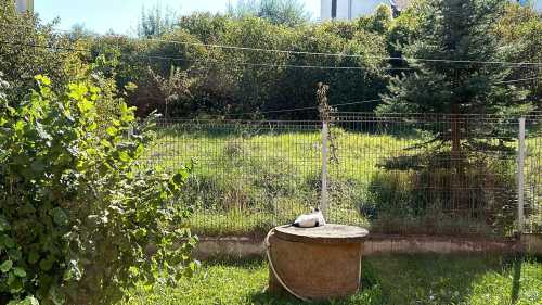 Casa de vânzare 4 camere, CACJ245991FLO-17