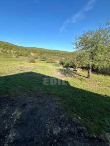 Teren de vânzare, TECJ246105FLO-1