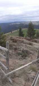 Teren de vânzare, TECJ246415FLO-2