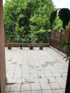 Apartament de vânzare 3 camere, APCJ351755-12