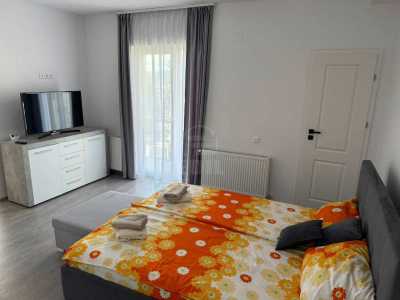 Apartament de Închiriere o camera, APCJ352001-28
