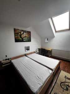Apartament de Închiriere o camera, APCJ352375