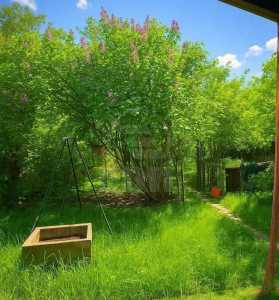 Casa de vânzare 4 camere, CACJ353736-6