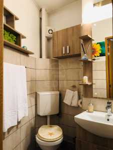 Apartament de Închiriere o camera, APCJ246621FLO-6