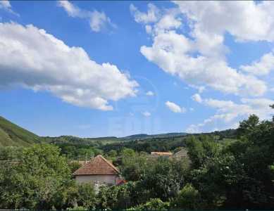 Casa de vânzare 4 camere, CACJ246751FLO-5