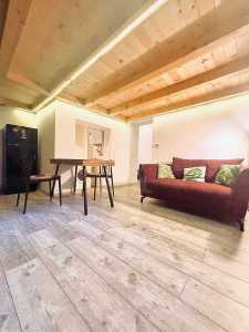 Apartament de Închiriere o camera, APCJ354230-5