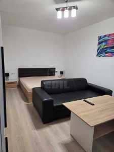 Apartament de Închiriere o camera, APCJ246746FLO-11