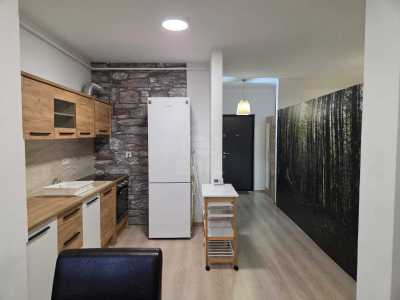 Apartament de Închiriere o camera, APCJ246746FLO-1